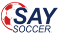 USA Soccer League logo